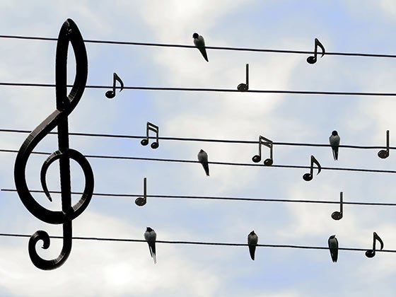 Klangcode Therapie DAO-THA